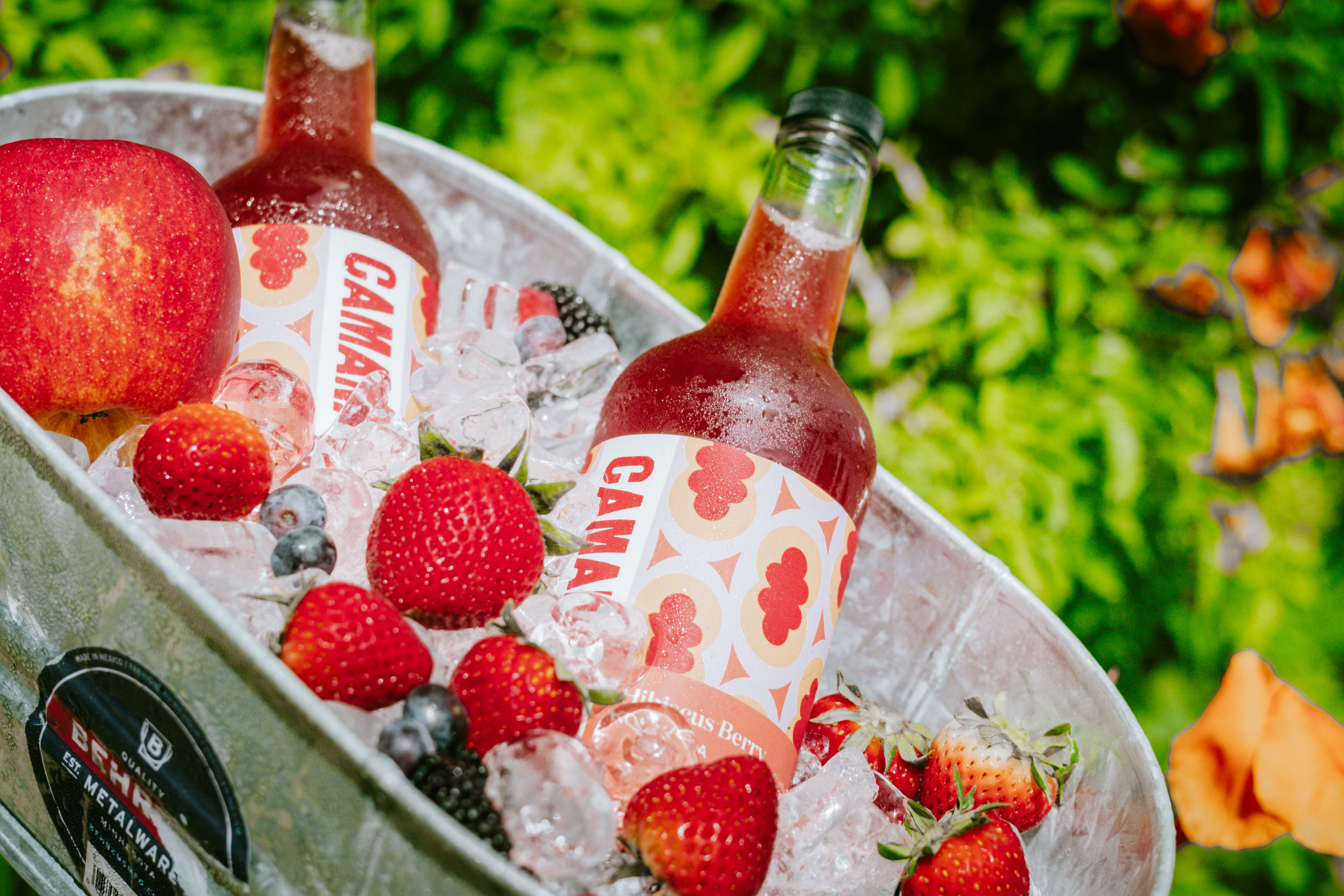Camana Booch bubbles up