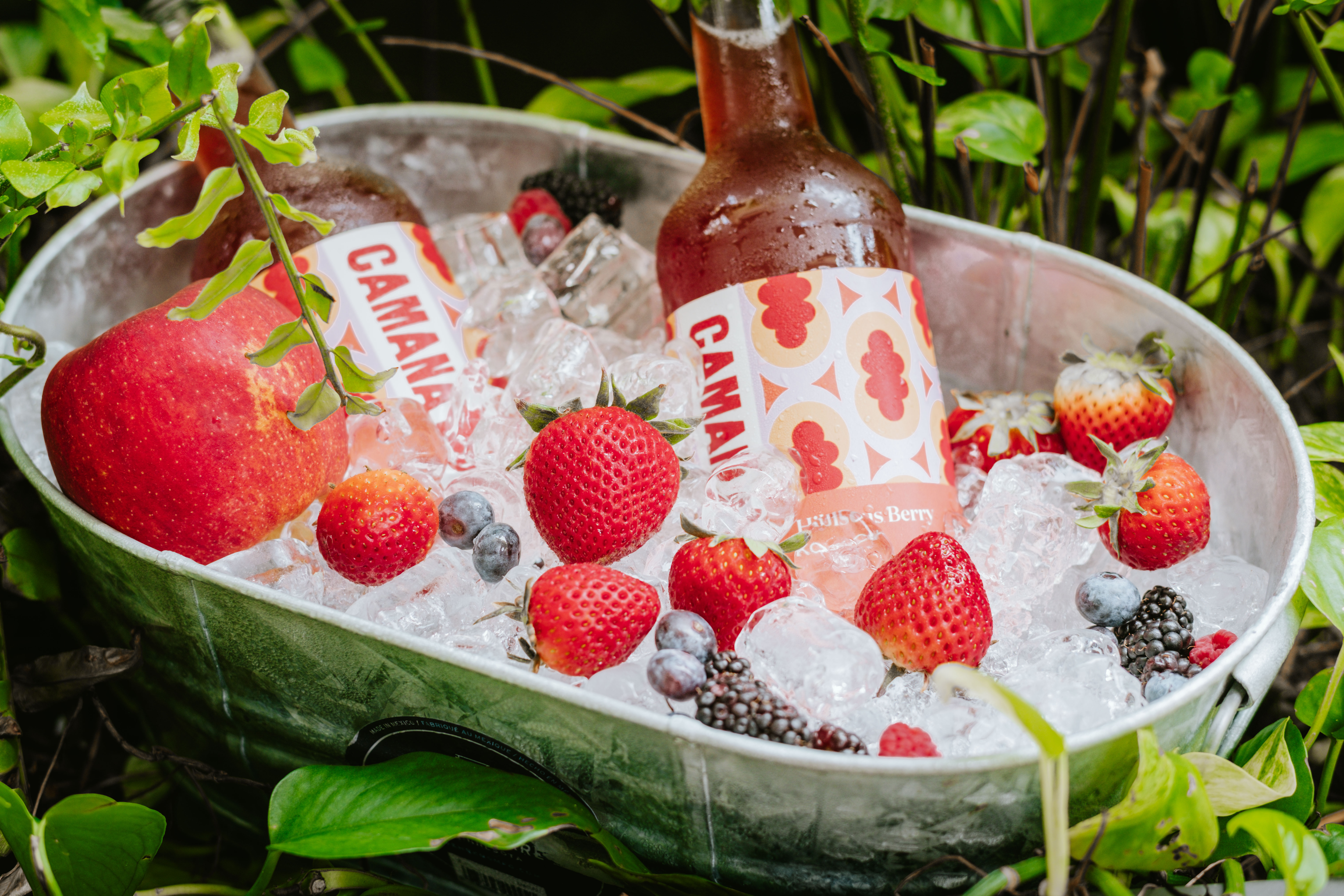 Camana Booch bubbles up